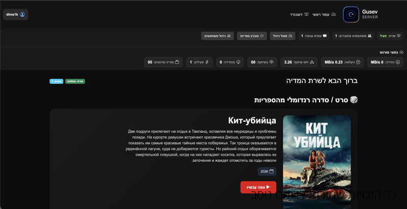 תמונה של מערכת של נתוני שרת Plex